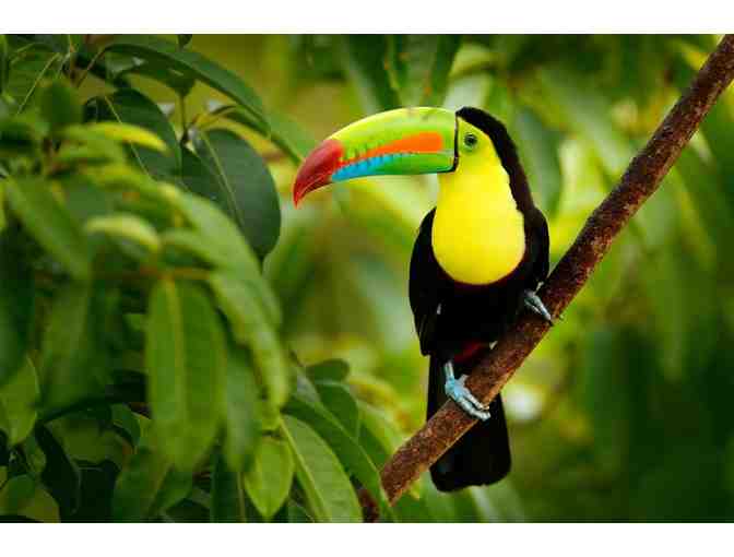 4 Nights All-Inclusive in Costa Rica!