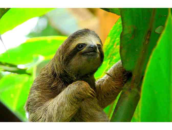 4 Nights All-Inclusive in Costa Rica!