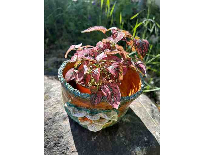 Flower Pot with Plant - Photo 3