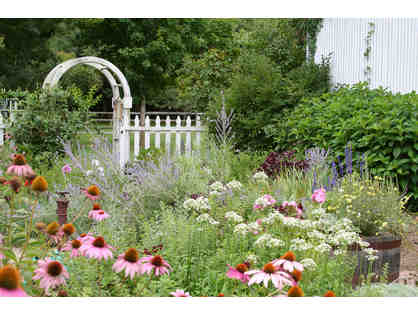 Herbal Garden Consultation with Green Rose Herbals