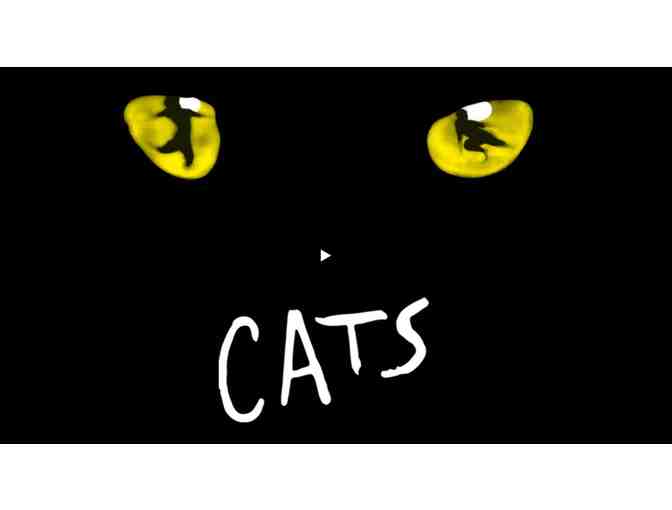 CATS at the Hollywood Pantages Theater