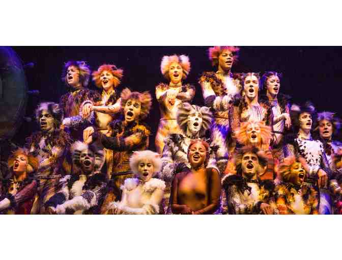 CATS at the Hollywood Pantages Theater - Photo 2