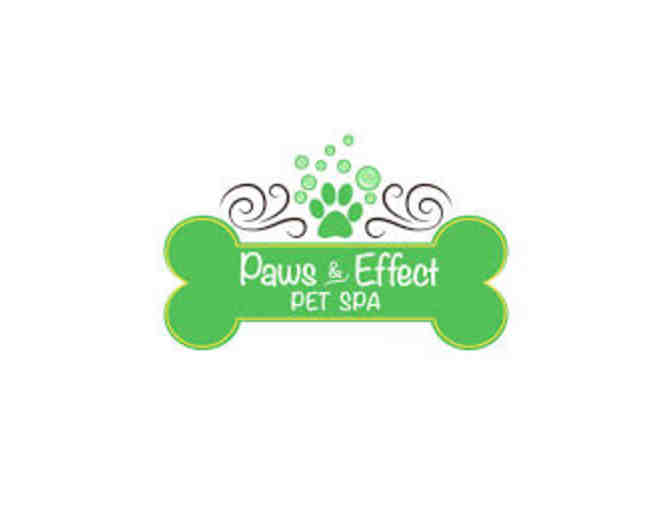 Paws & Effect Pet Spa 'Pawdicure'