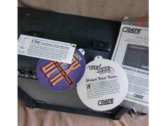 Rare Crate GFX-65 Guitar Amp with DSP (Digital Signal Processing)