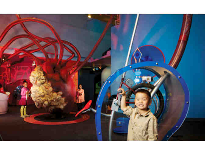 3 Children's Museums, 1 Package