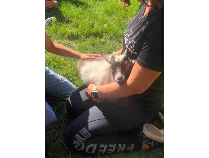 Jessica's Gentle Jungle ~ a traveling petting zoo that will come to you!