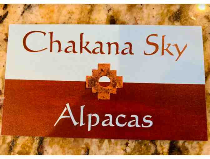 Alpaca Adventure -- Up Close and Personal!