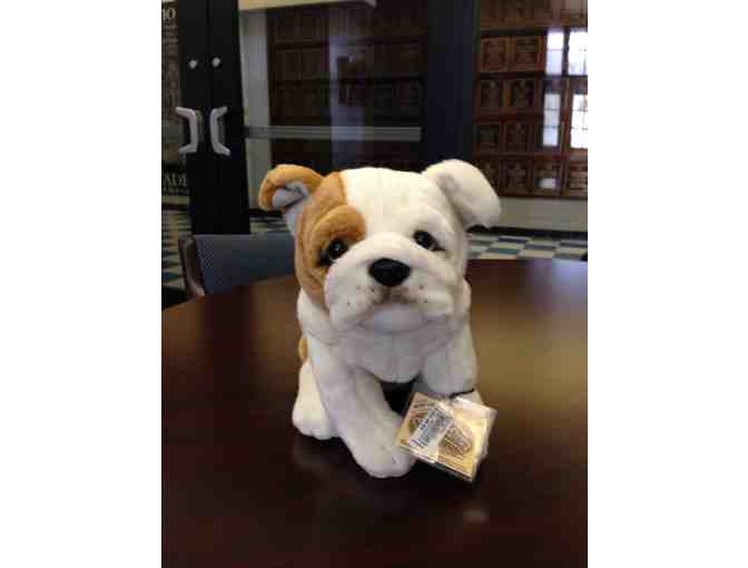 Handmade Baby Blanket and 'Webkinz' Bulldog Stuffed Animal