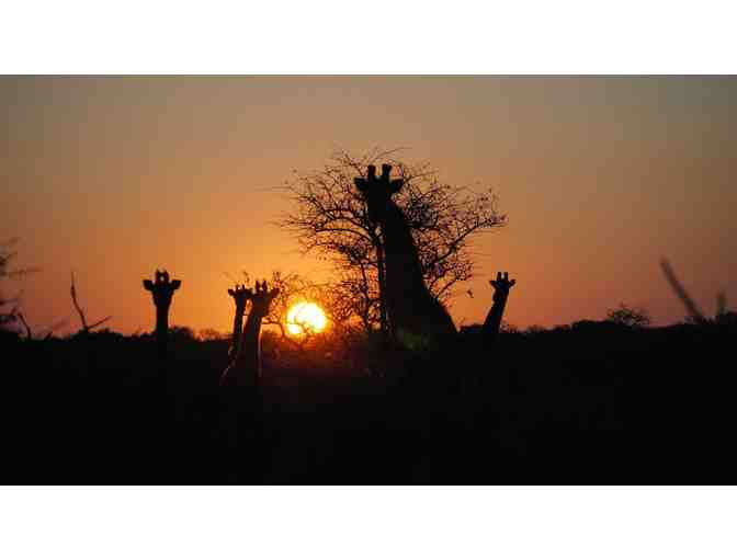 7 Day African Hunting Safari Trip for 2