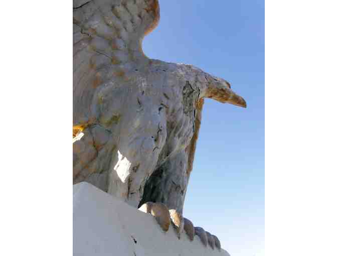 Talon from 'The Citadel's Guardian' Eagle Removed from Bond Hall