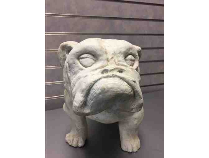 Concrete Bulldog