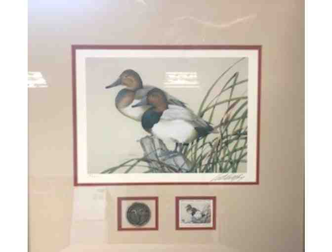 SC Waterfowl Association Stamp Prints 2
