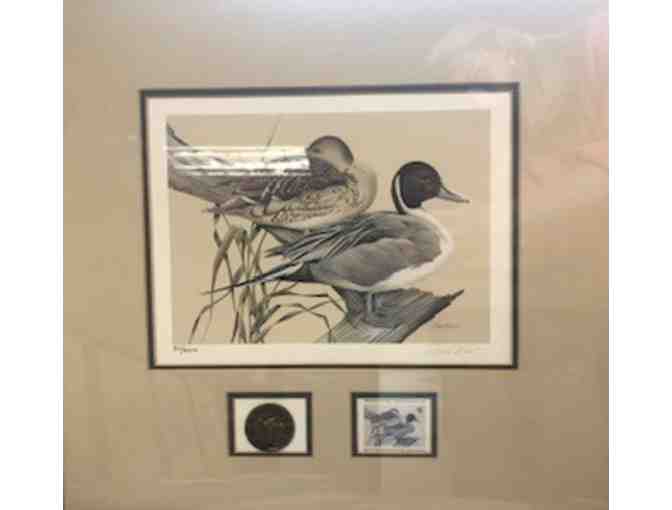 SC Waterfowl Association Stamp Prints 2