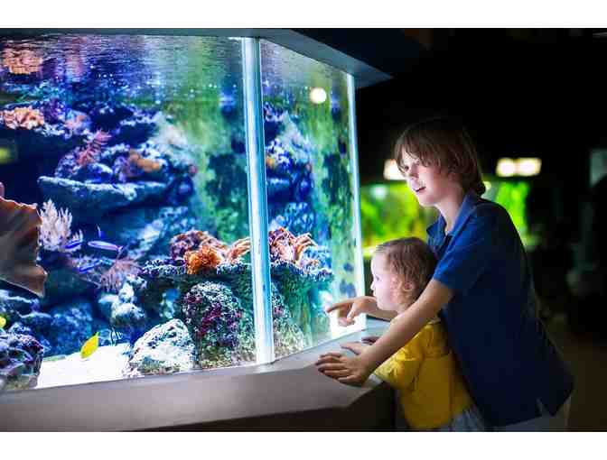 A Day Out and About in Downtown Charleston