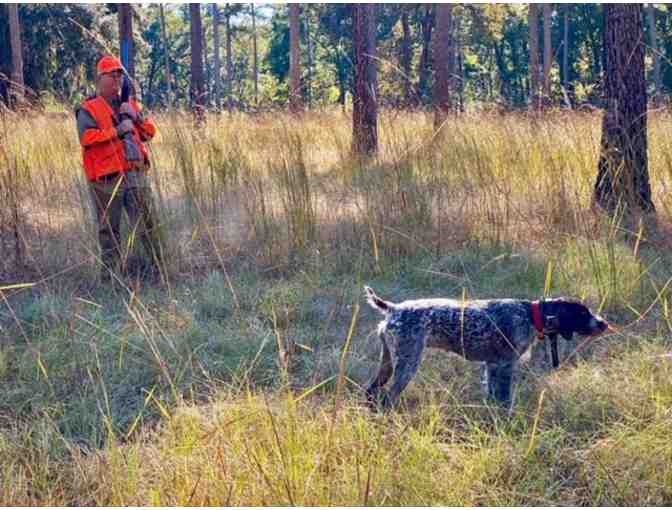 LIVE - Hunting Experience at Brays Island For Two