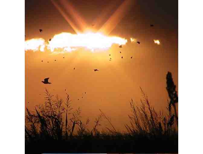 LIVE - Argentina Wingshooting for 6