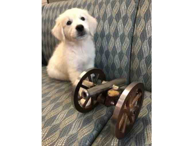 Silver Miniature Cannon - Battle Ready