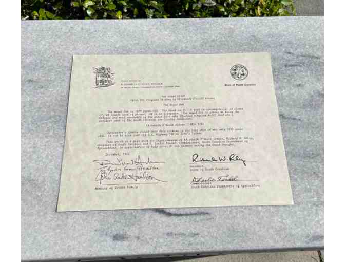 'The Hoary Giant' Print