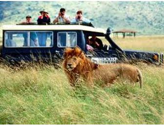 African Safari Wildlife Park Adventure