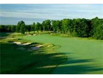 Overnight Golf package at Treetops Resort!