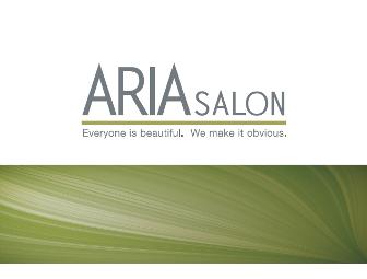 Enhance your beauty at ARIA Salon in Grosse Pointe Woods !!