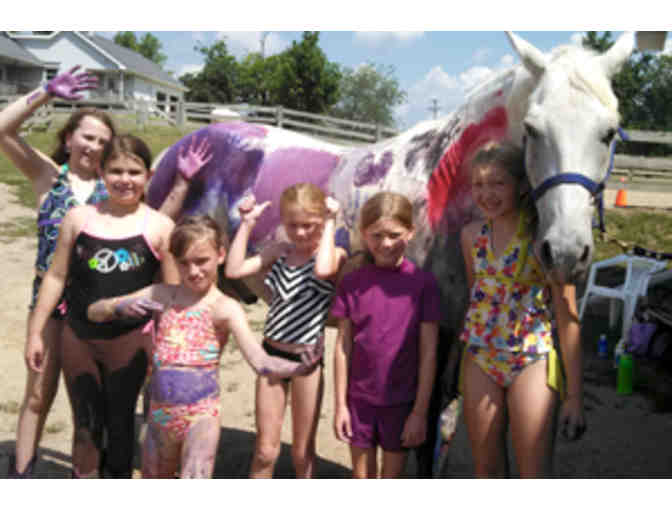 Two private horse back riding lessons at Happy Hooves