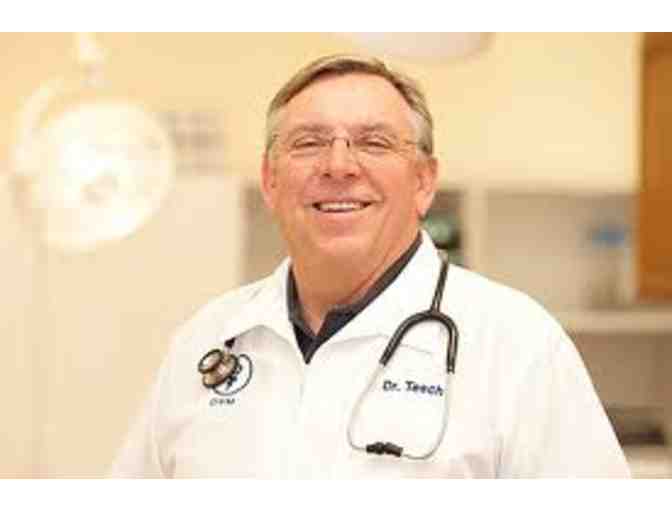 Need a Vet?  You are in luck!