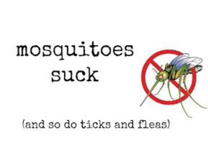 Mosquito Treatments by Mosquito Joe