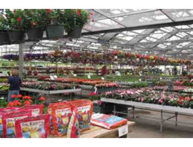 $25 Gift Certificate to Ray Wiegand's Nursery
