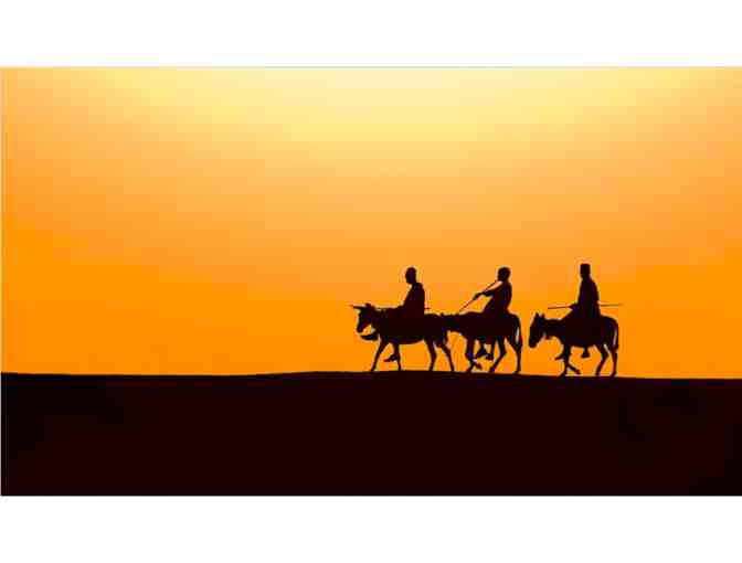 Beautiful Photograph from Neil Thomas Photography (Kenya)