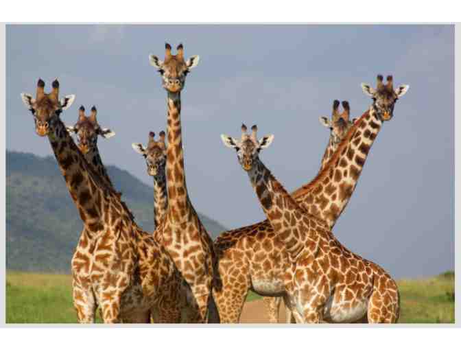 Beautiful Photograph from Neil Thomas Photography (Kenya)