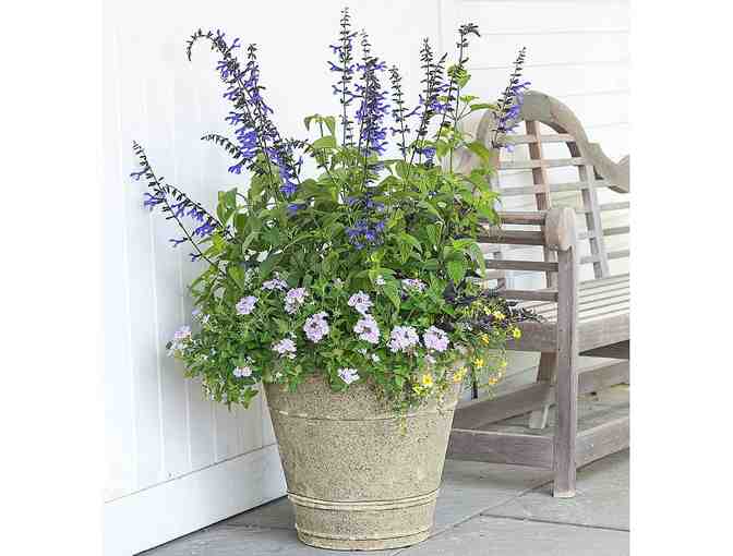 Beautifully Designed Flower Pot for Your Porch or Patio