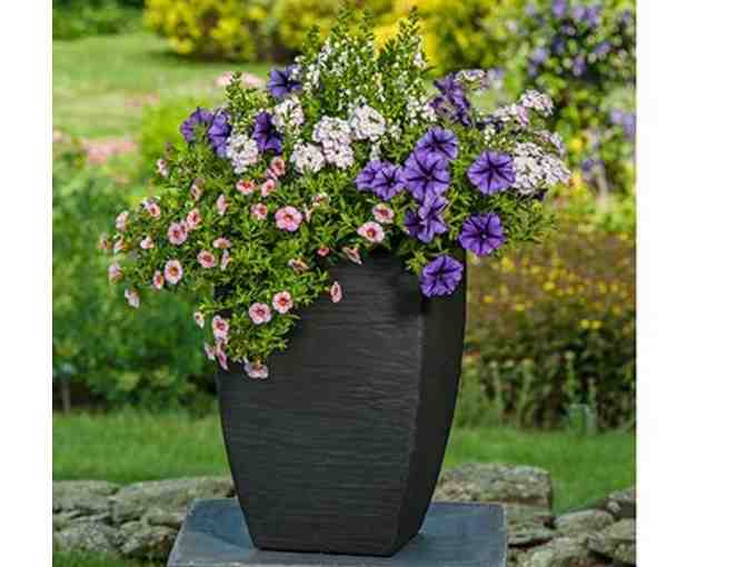 Beautifully Designed Flower Pot for Your Porch or Patio