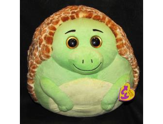 'Zoom the Turtle' Beanie Ballz Stuffed Animal