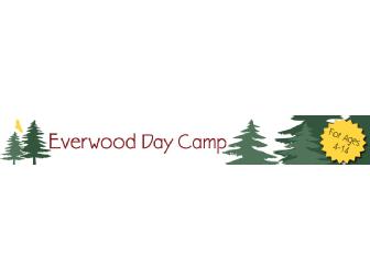 1 week of Camp at Everwood Day Camp