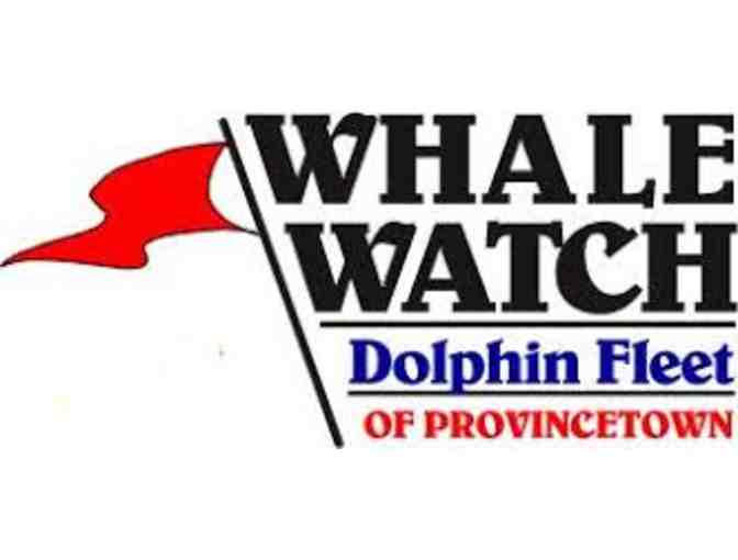Dolphin Fleet of Provincetown