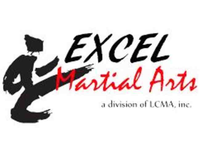 1 month Karate class or birthday party at Excel Martial Arts