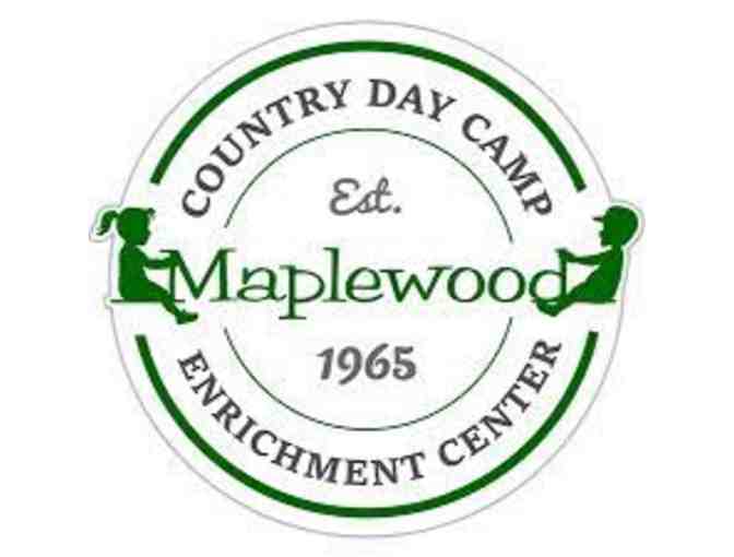 $250 Gift certificate to Maplewood Country Day Camp