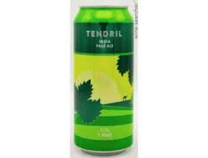 4-pack of Tendril India Pale Ale - Photo 1