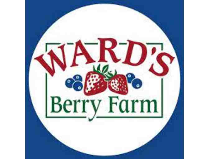 $25 gift certificate to Ward's Berry Farm - Photo 1