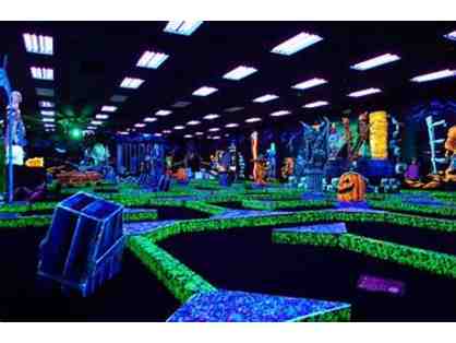 5 passes for admission to Monster Mini Golf