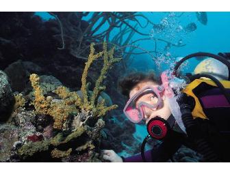 Discover Scuba and Snorkling Package