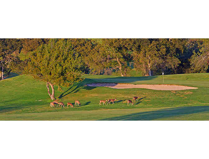 Green Fee's with carts for Four (4) Chalk Mountain Golf Course