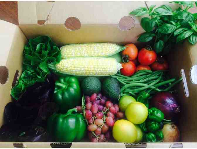 Two Fresh Harvest Boxes from Talley Farms