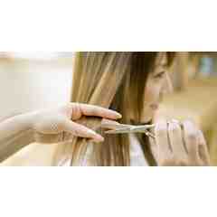 Holly Park, Casa Blanca