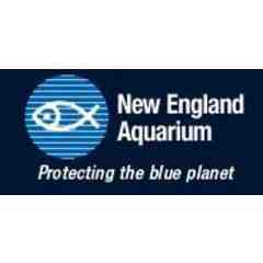 New England Aquarium