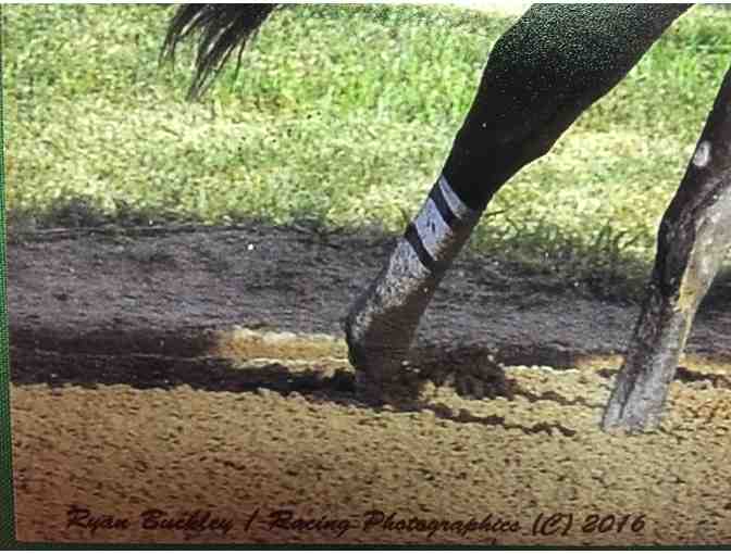 Songbird photo, with Carina Mia - signed