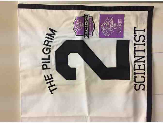 Scientist Breeders Cup Saddle Pad