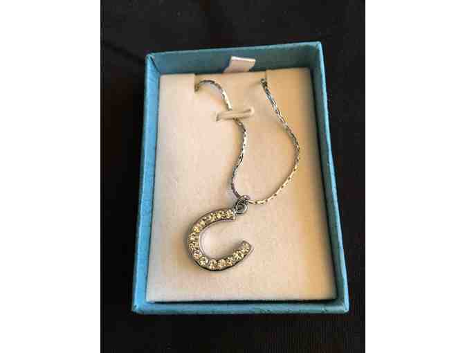 Breeders Cup Lucky Charm Crystal Horseshoe Pendant
