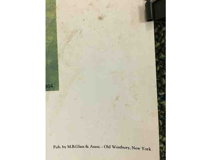 Affirmed the 1978 Triple Crown Winner